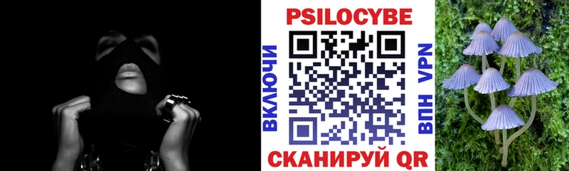 Галлюциногенные грибы MAGIC MUSHROOMS  mega маркетплейс  Курлово 